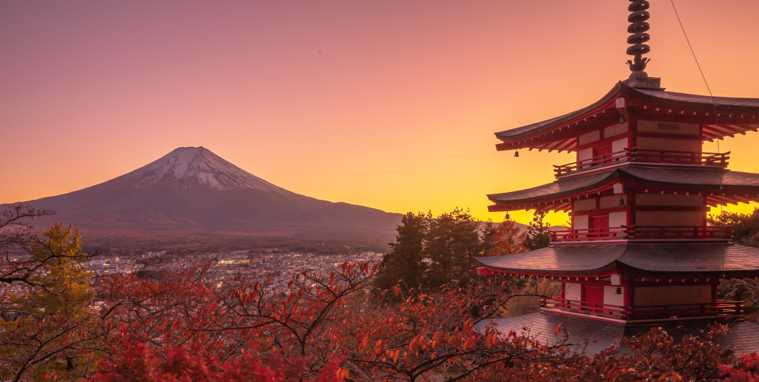 Where Nature Meets Culture　　自然と文化が出会う場所